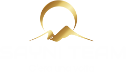 Sayni Team